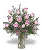 Roses Of Thailand